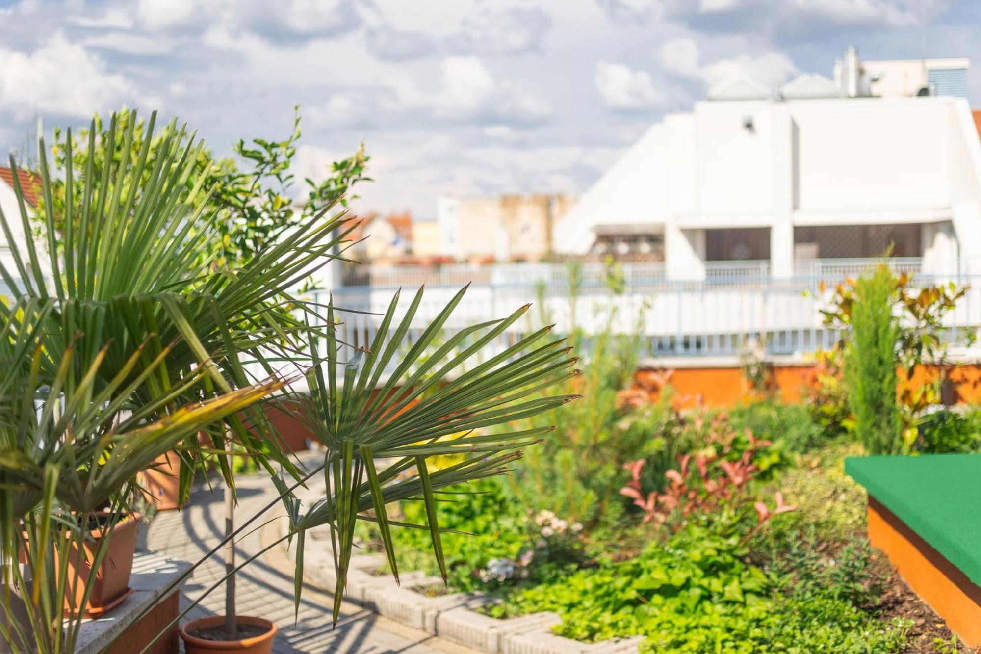 Rooftop City Residence With Deep Garage Budapest Exteriör bild